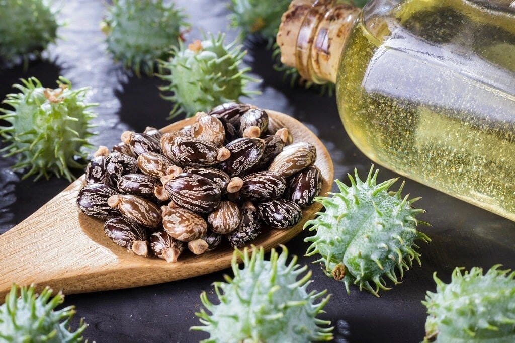 Premium Castor Oil